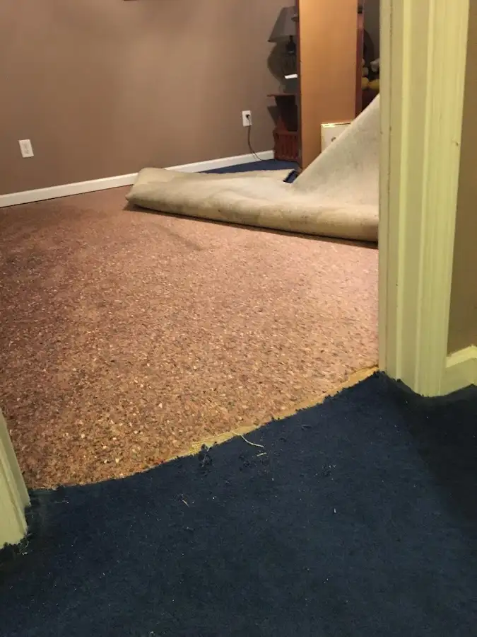 Carpet pad removal revealing water damage during Water Mitigation Services in Rochester